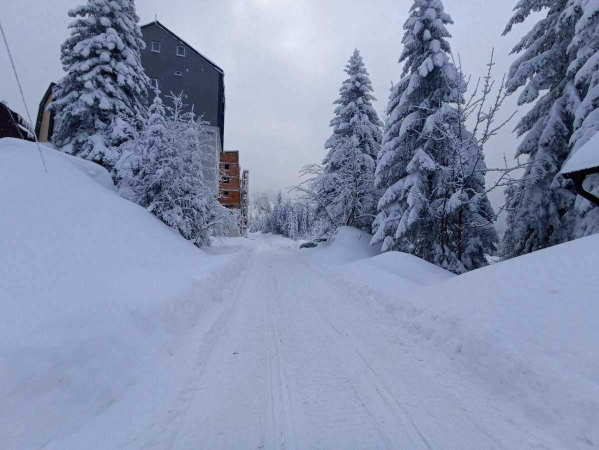 Nest Apartment Jahorina Bagian luar foto